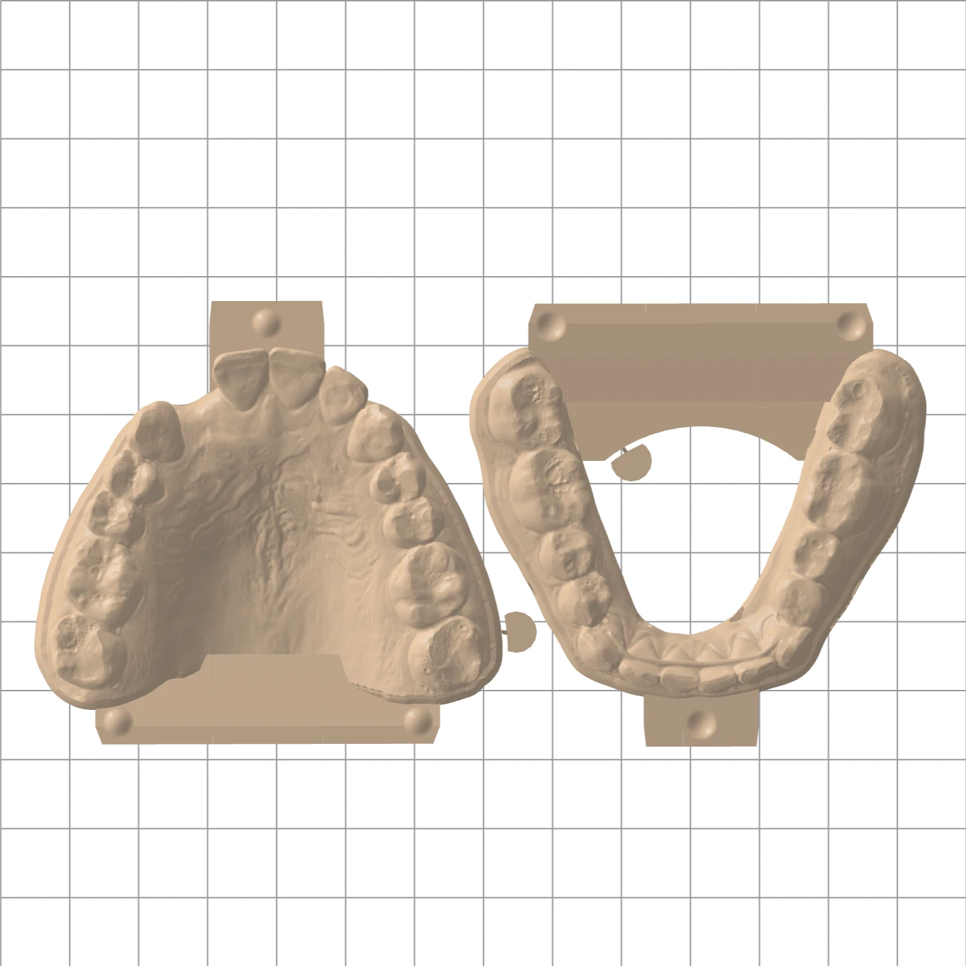 3D printed models on the the digital printer bed.