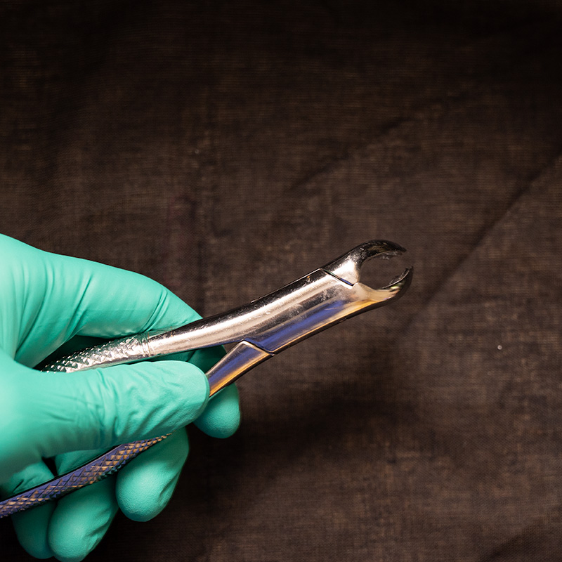 Forceps used in tooth extraction