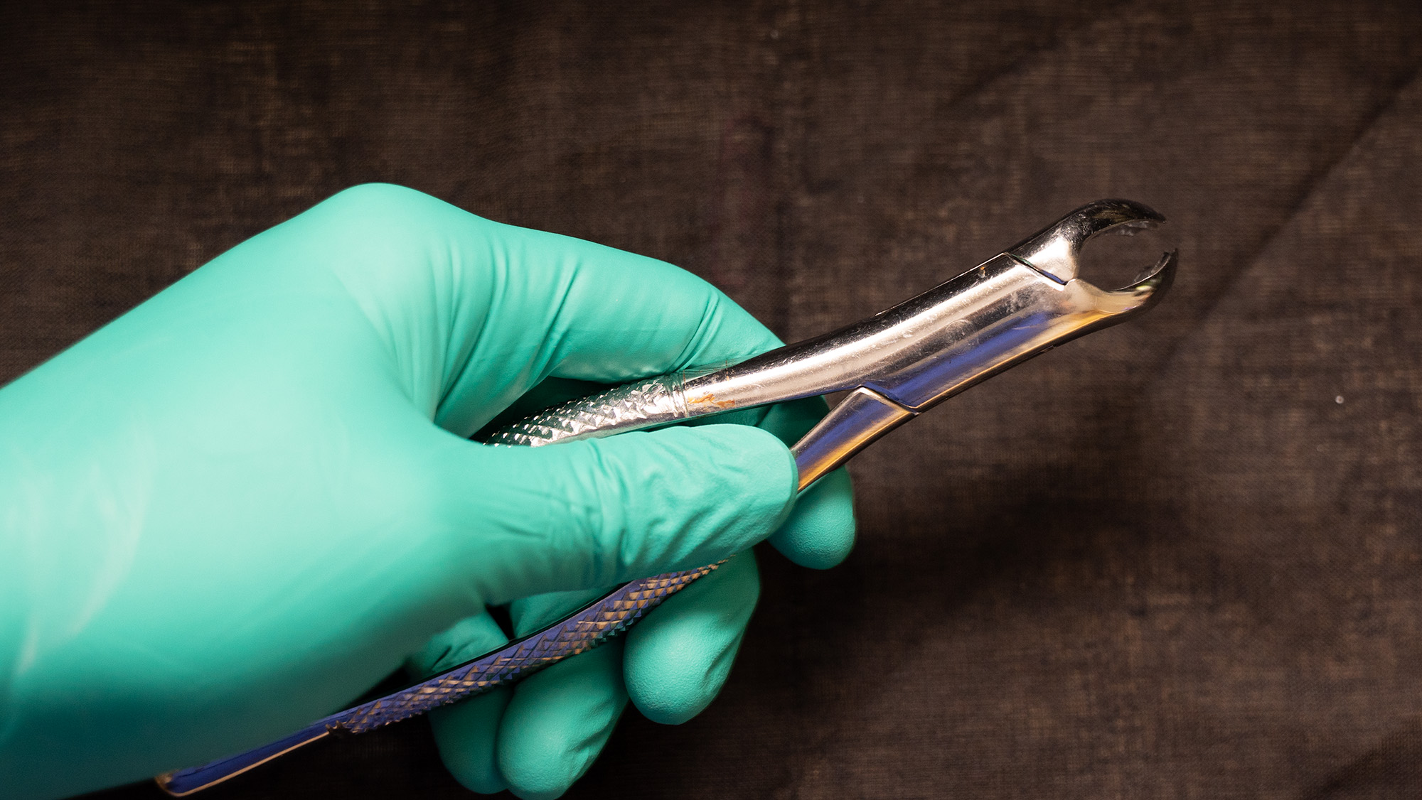 Forceps used in tooth extraction used for tooth extraction.